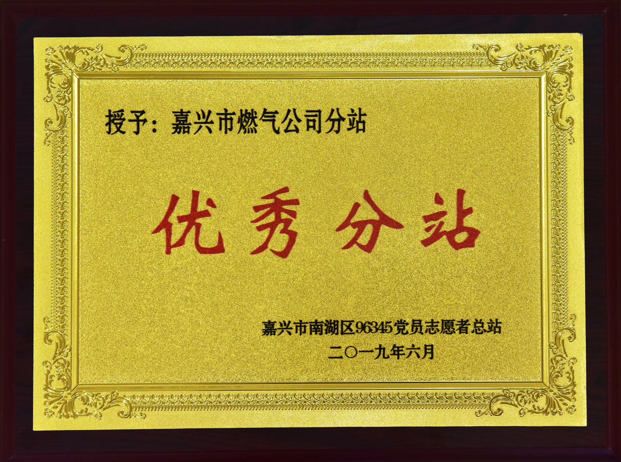 2019年6月，被嘉興市南湖區(qū)96345黨員志愿者總站授予”優(yōu)秀分站“榮譽稱號。.JPG